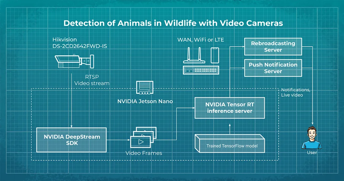 flow diagram showing how nanodetector works